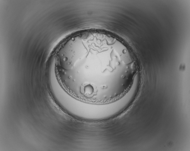 X0000110701118200907101214