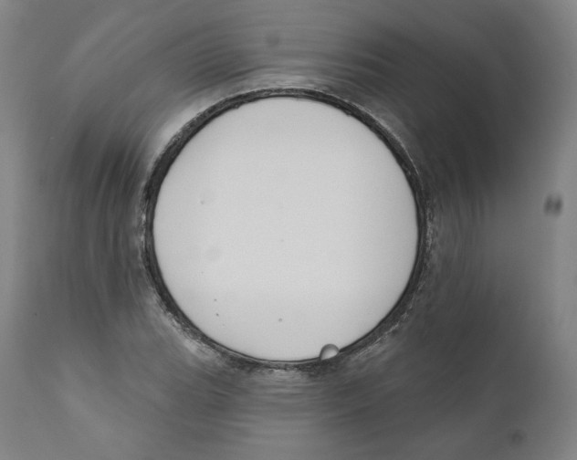 X0000110701119200907101214