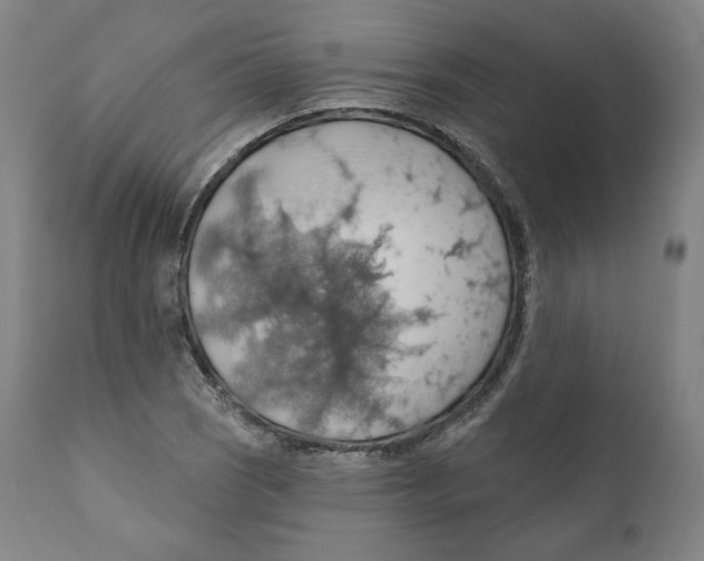 X0000110701121200907101214