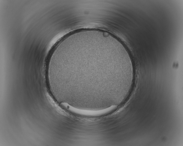 X0000110701122200907101214