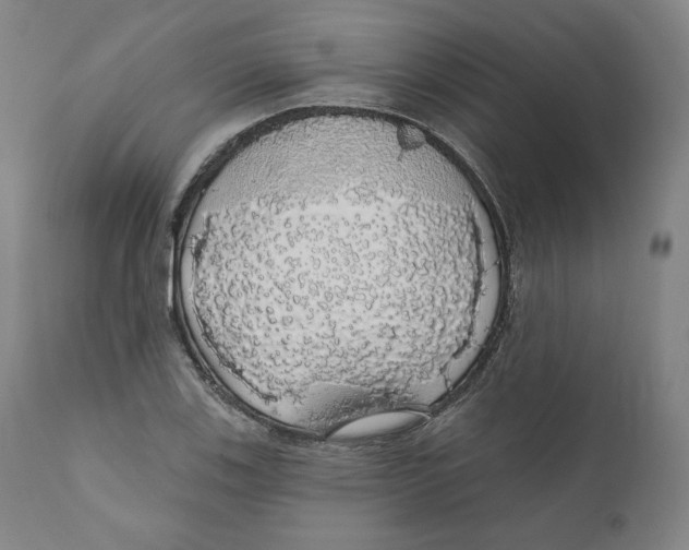 X0000110701123200907101214