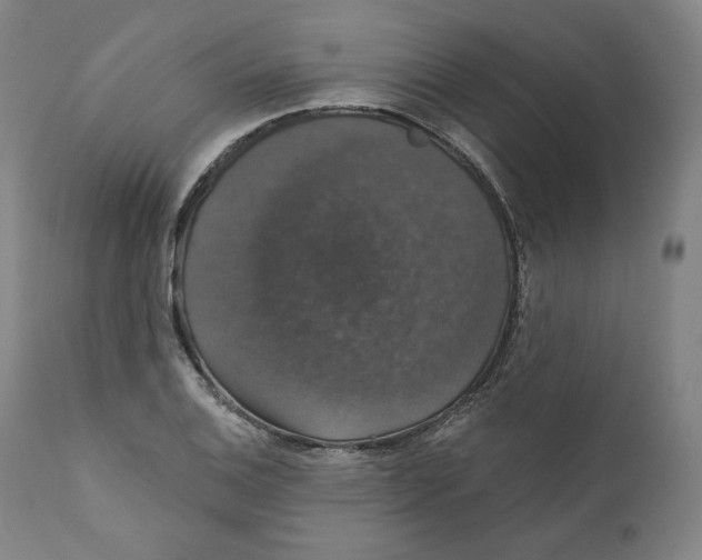 X0000110701124200907101214