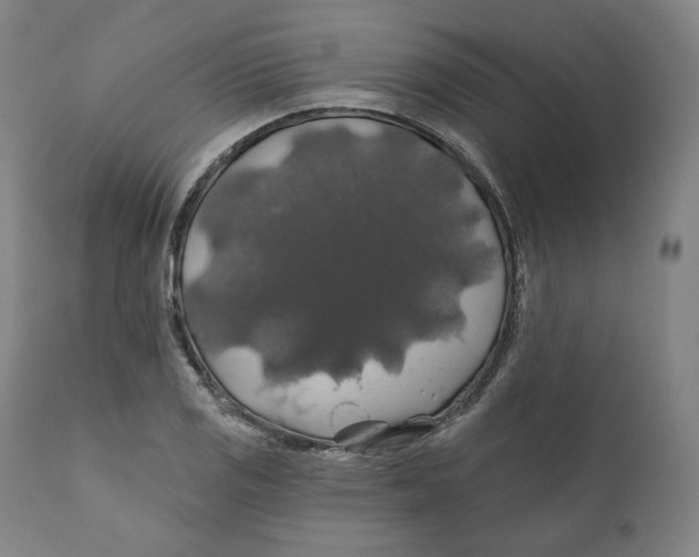 X0000110701125200907101214