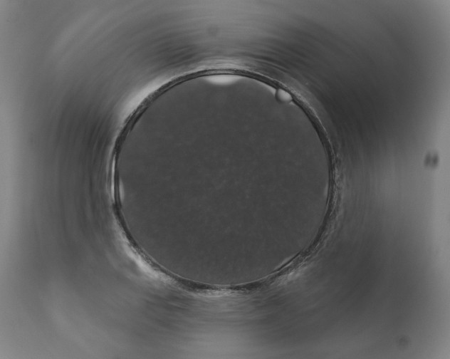 X0000110701127200907101214