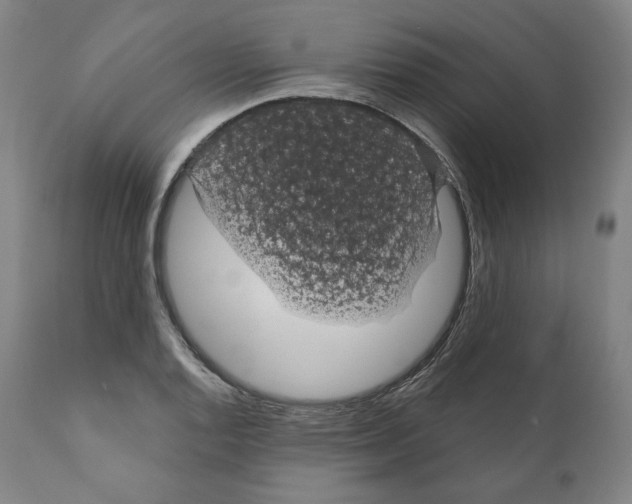 X0000110701128200907101214