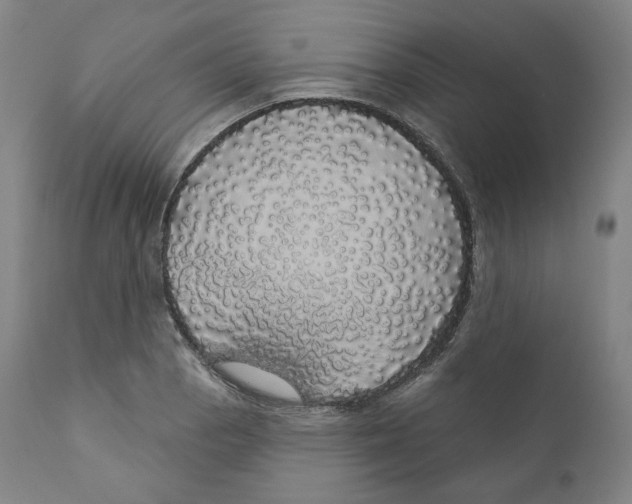 X0000110701129200907101214