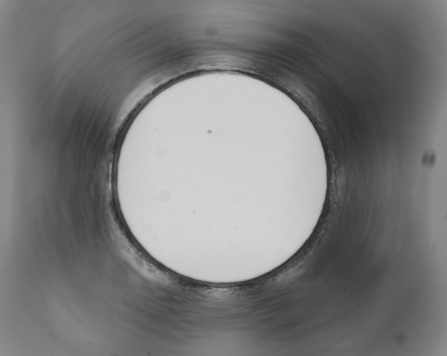 X0000110701130200907101214
