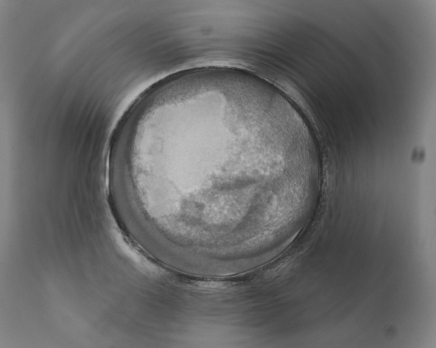 X0000110701132200907101214