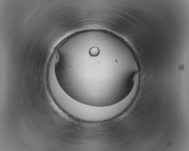 X0000110701134200907101214