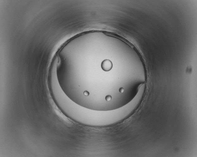 X0000110701136200907101214