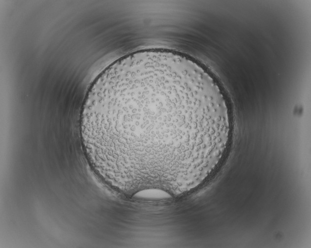 X0000110701137200907101214