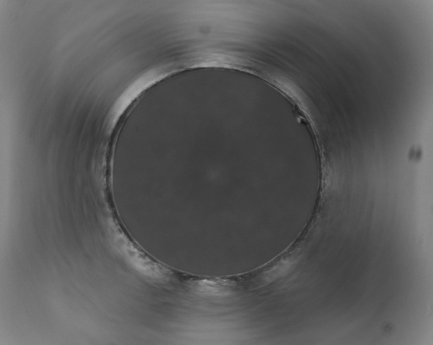 X0000110701138200907101214