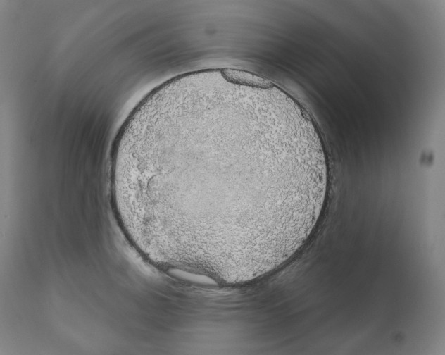 X0000110701140200907101214