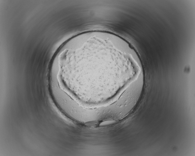 X0000110701142200907101214