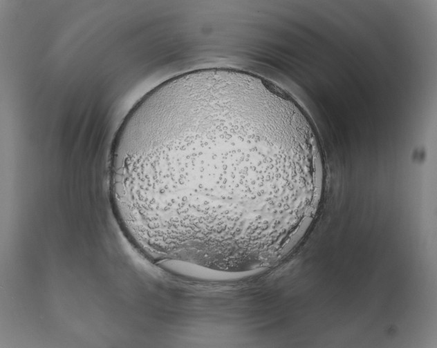 X0000110701143200907101214