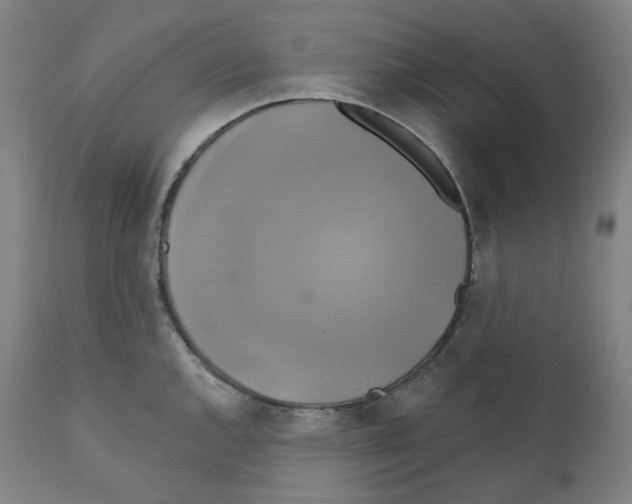 X0000110701144200907101214