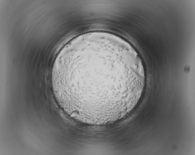 X0000110701145200907101214