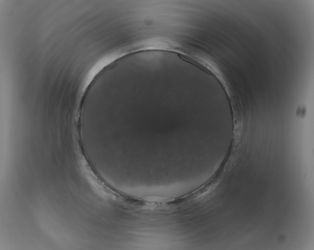 X0000110701146200907101215