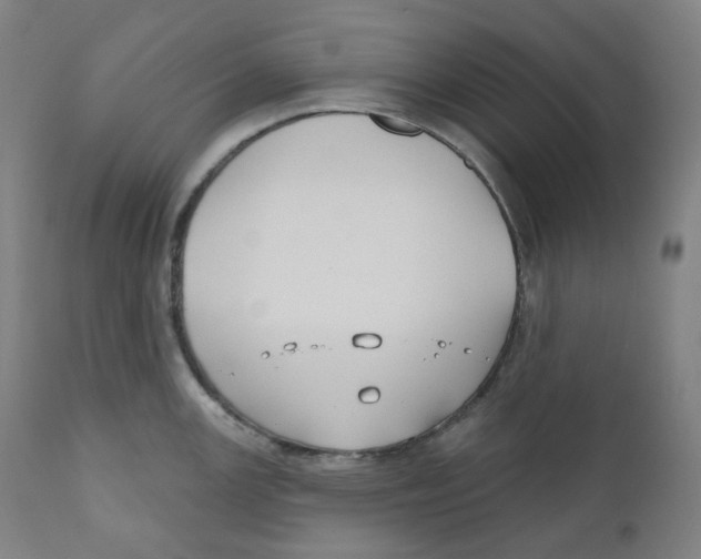 X0000110701147200907101215