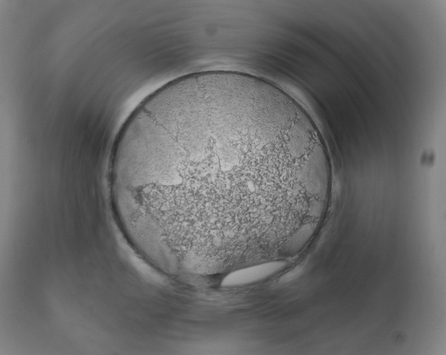 X0000110701149200907101215