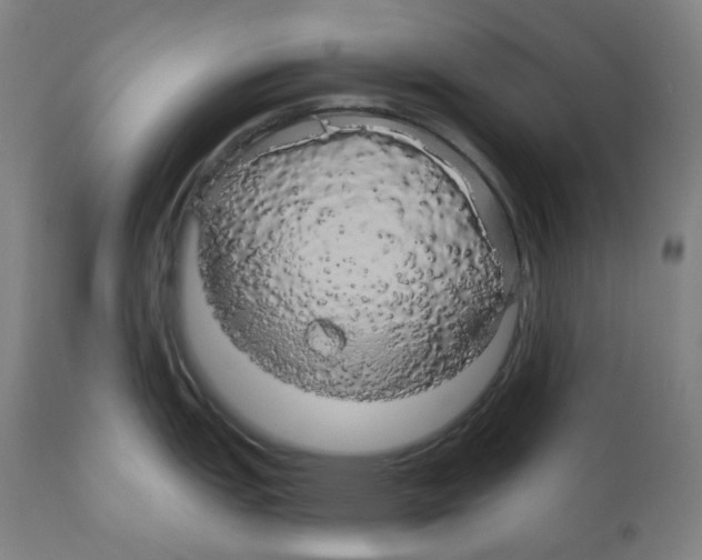X0000110701151200907101215