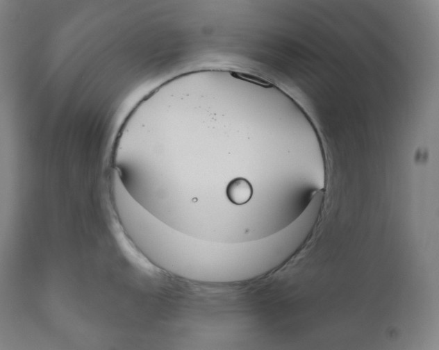 X0000110701152200907101215