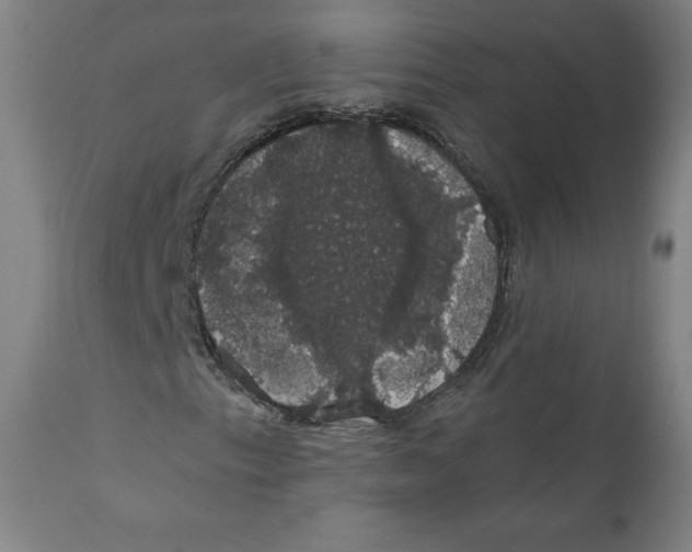 X0000110701153200907101214