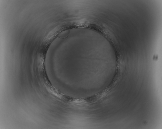 X0000110701154200907101214