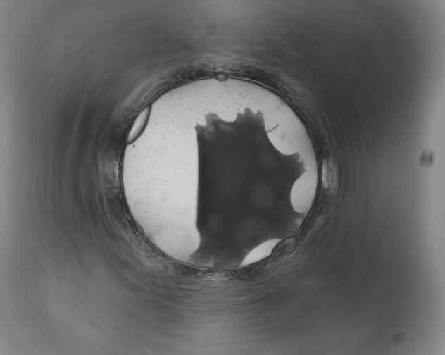 X0000110701155200907101214