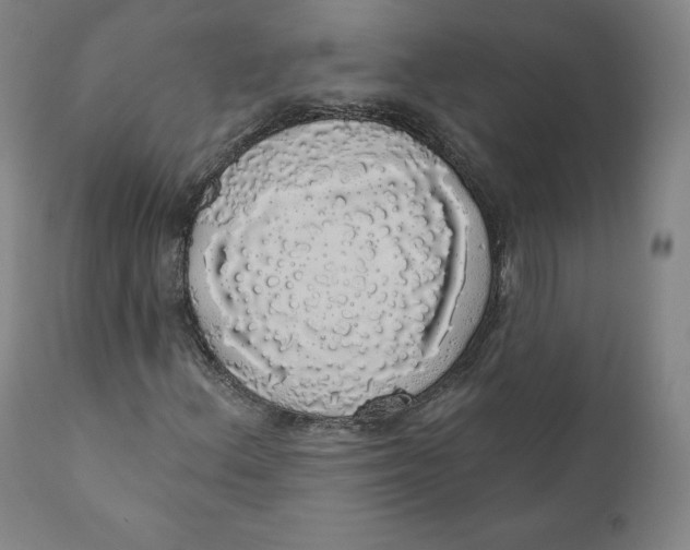 X0000110701156200907101214