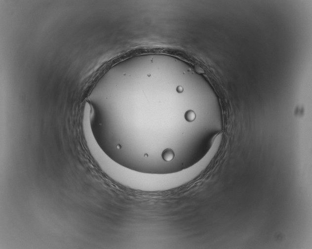 X0000110701157200907101214