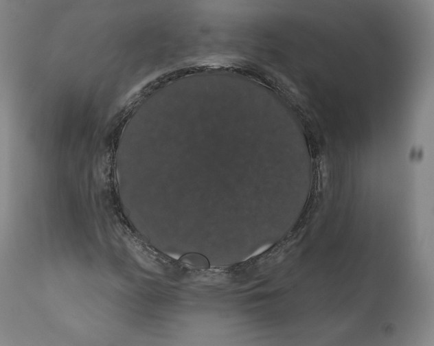X0000110701158200907101214