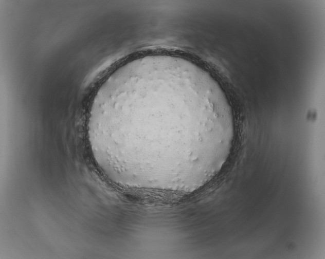 X0000110701159200907101214