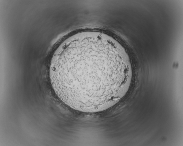 X0000110701160200907101214