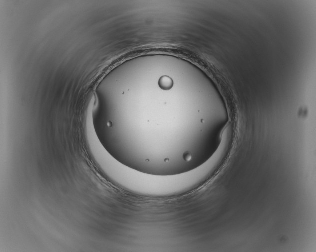 X0000110701161200907101214