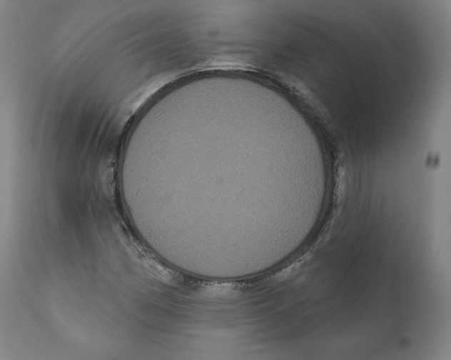 X0000110701162200907101214