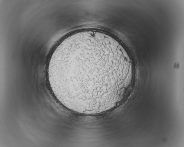 X0000110701164200907101214