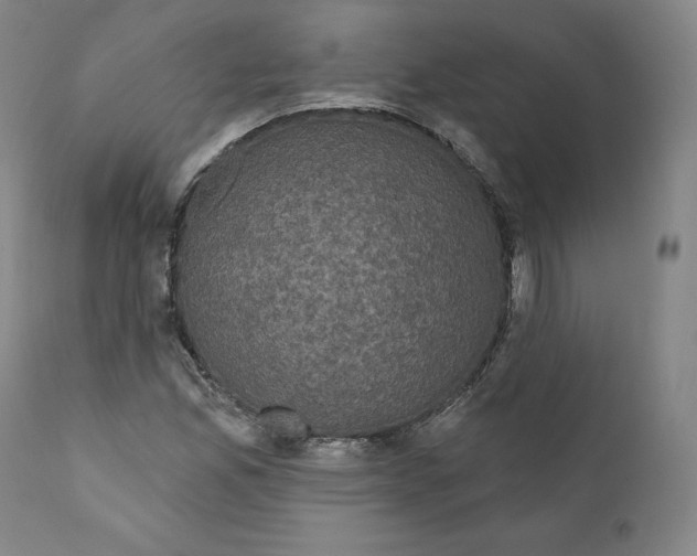 X0000110701165200907101214