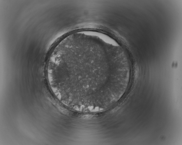 X0000110701166200907101214