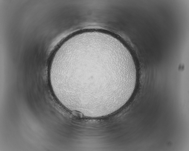 X0000110701167200907101214