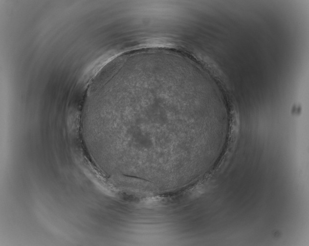 X0000110701169200907101214