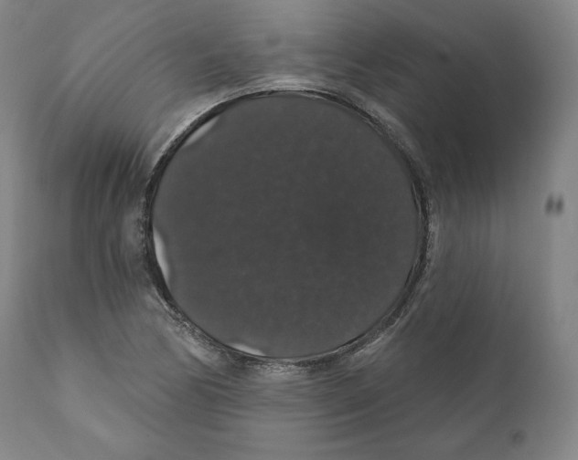X0000110701170200907101214