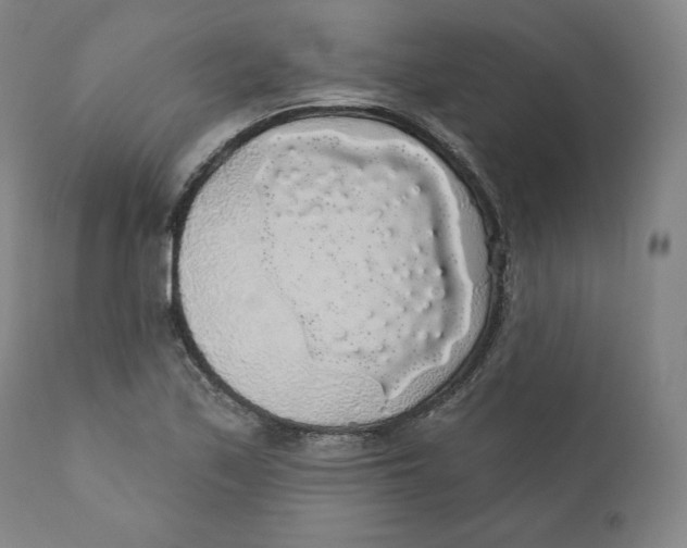 X0000110701171200907101214
