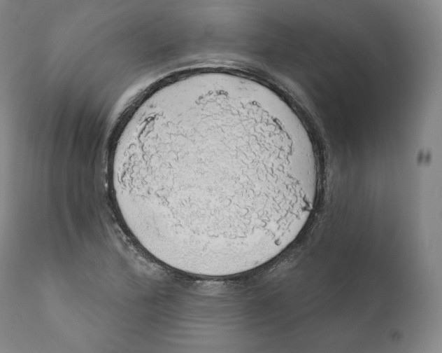X0000110701172200907101214