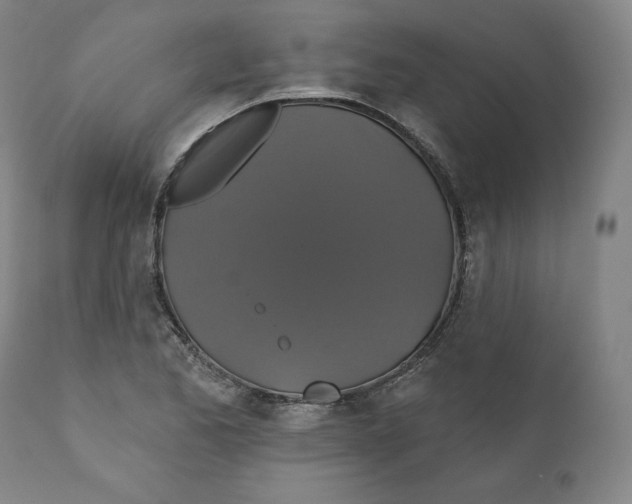 X0000110701173200907101214