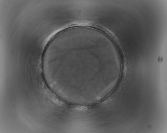 X0000110701174200907101214