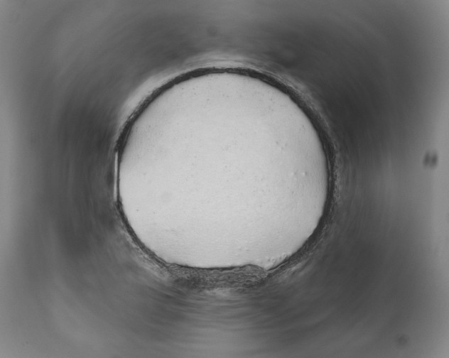 X0000110701175200907101214