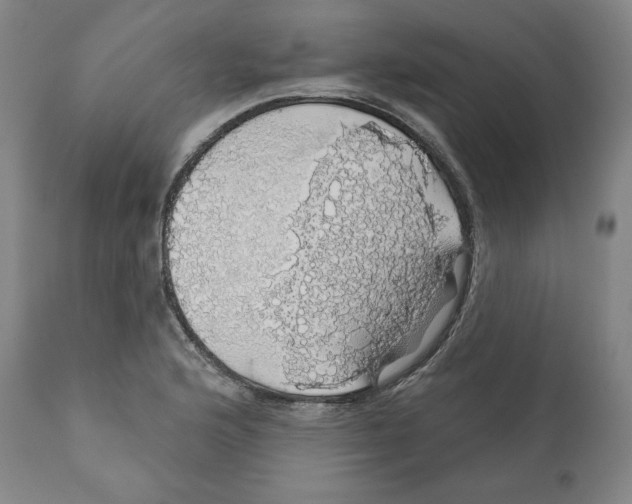 X0000110701176200907101214