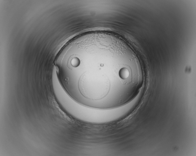 X0000110701177200907101214