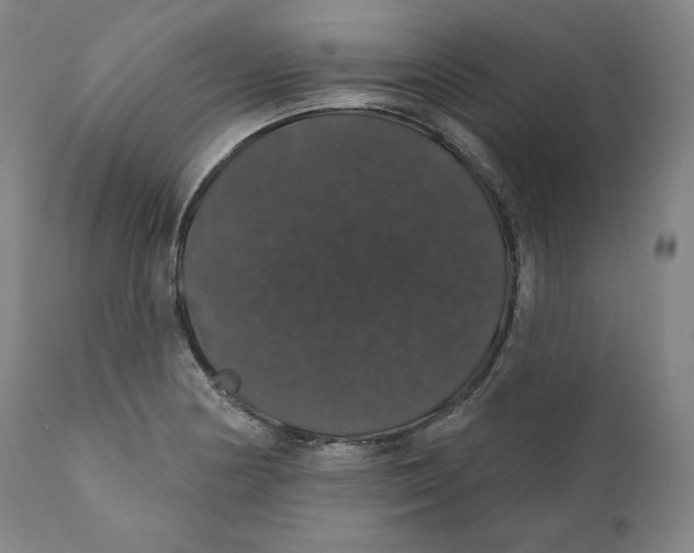 X0000110701178200907101214
